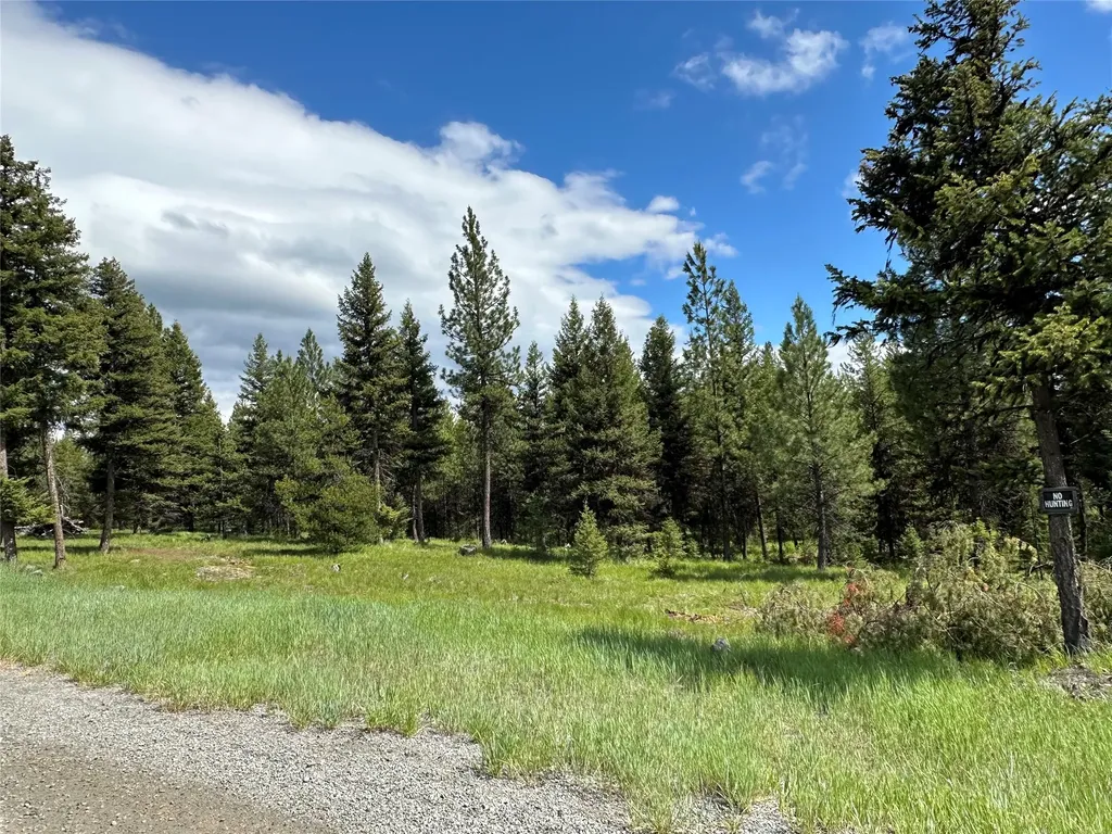 Nhn Lot 42 Loon Connector Road Libby MT 59923