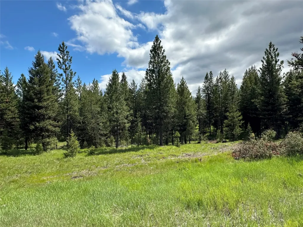 Nhn Lot 42 Loon Connector Road Libby MT 59923