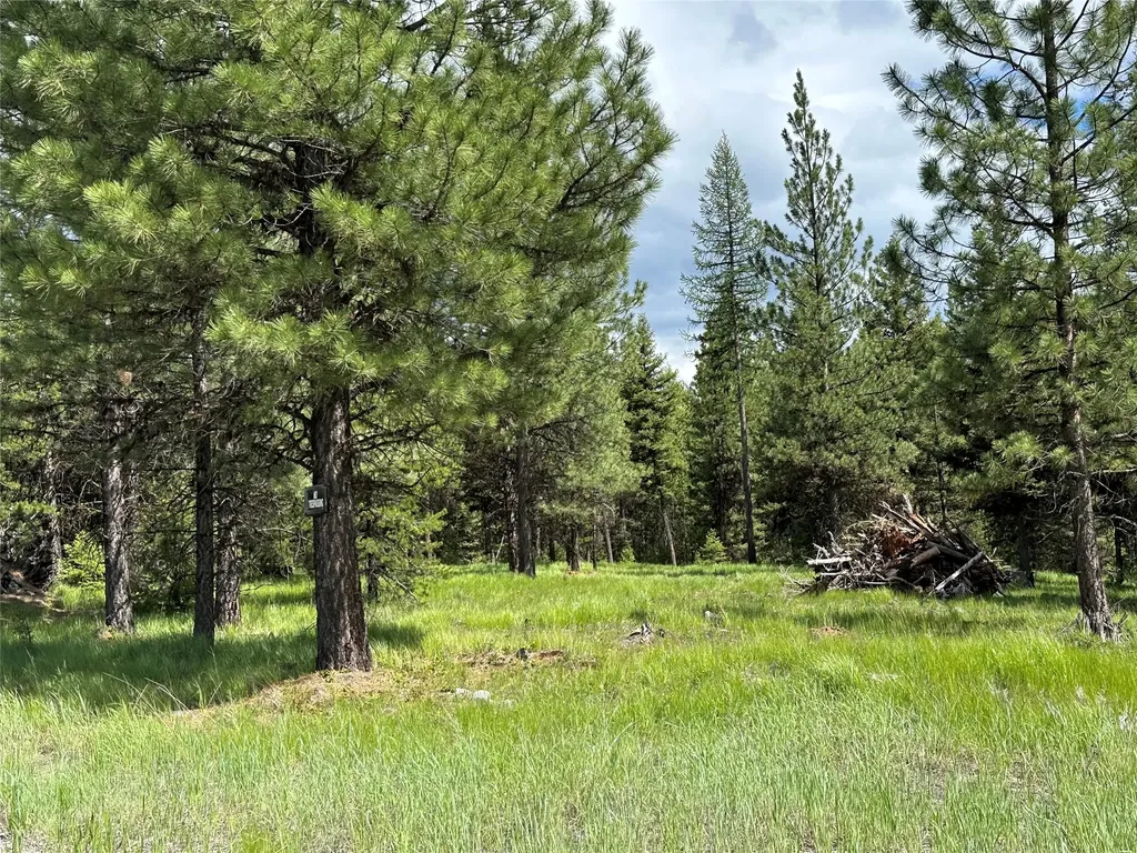 Nhn Lot 42 Loon Connector Road Libby MT 59923