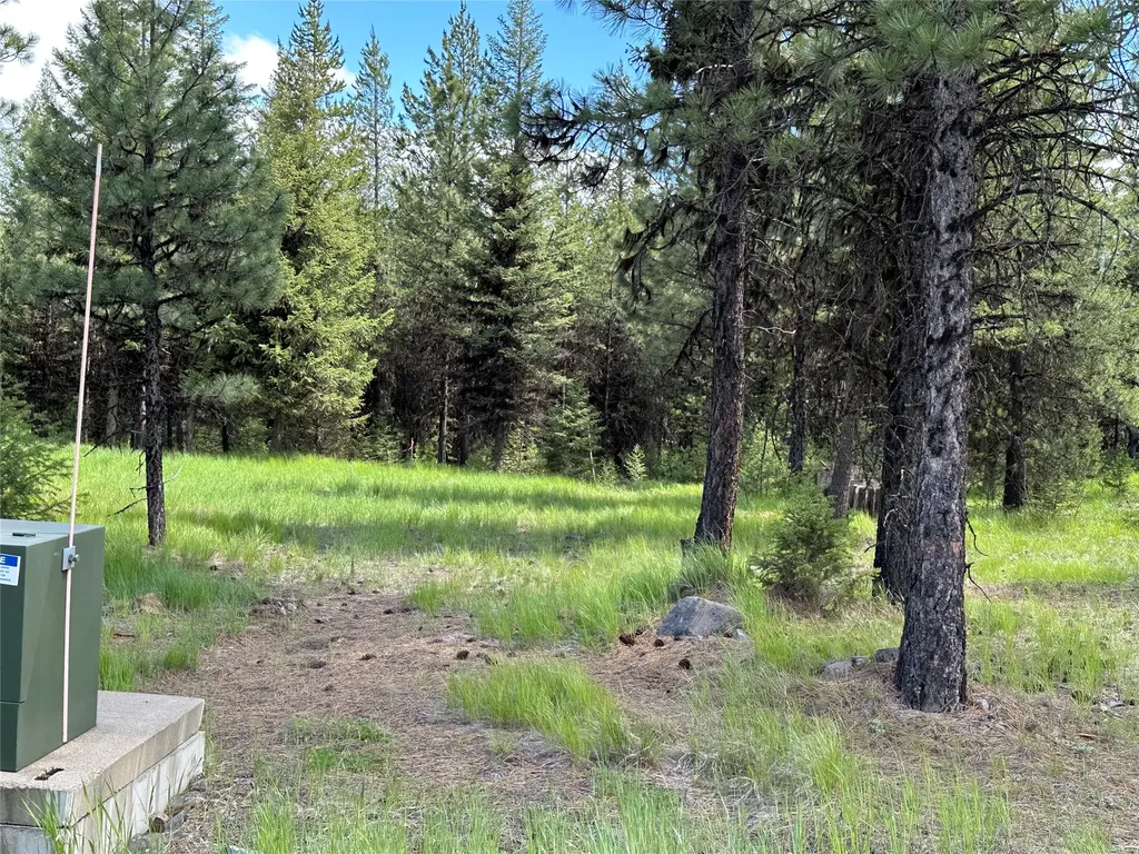Nhn Lot 42 Loon Connector Road Libby MT 59923