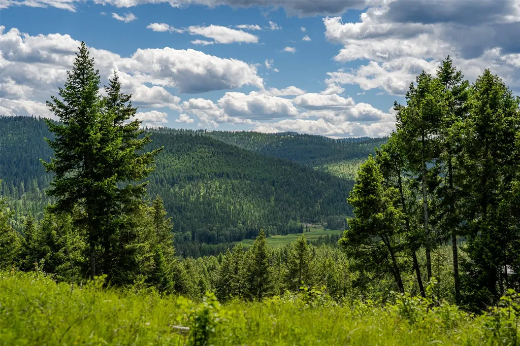 2342 Sirius View Kalispell MT 59901