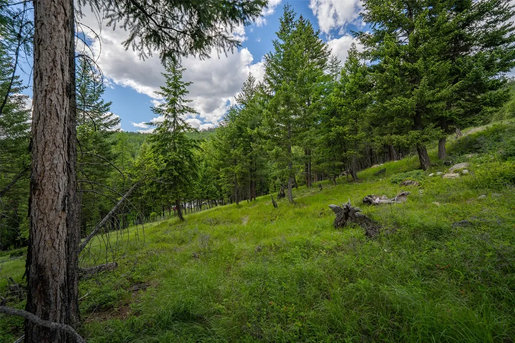 2342 Sirius View Kalispell MT 59901