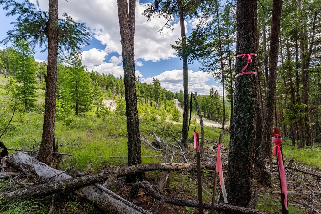 2342 Sirius View Kalispell MT 59901