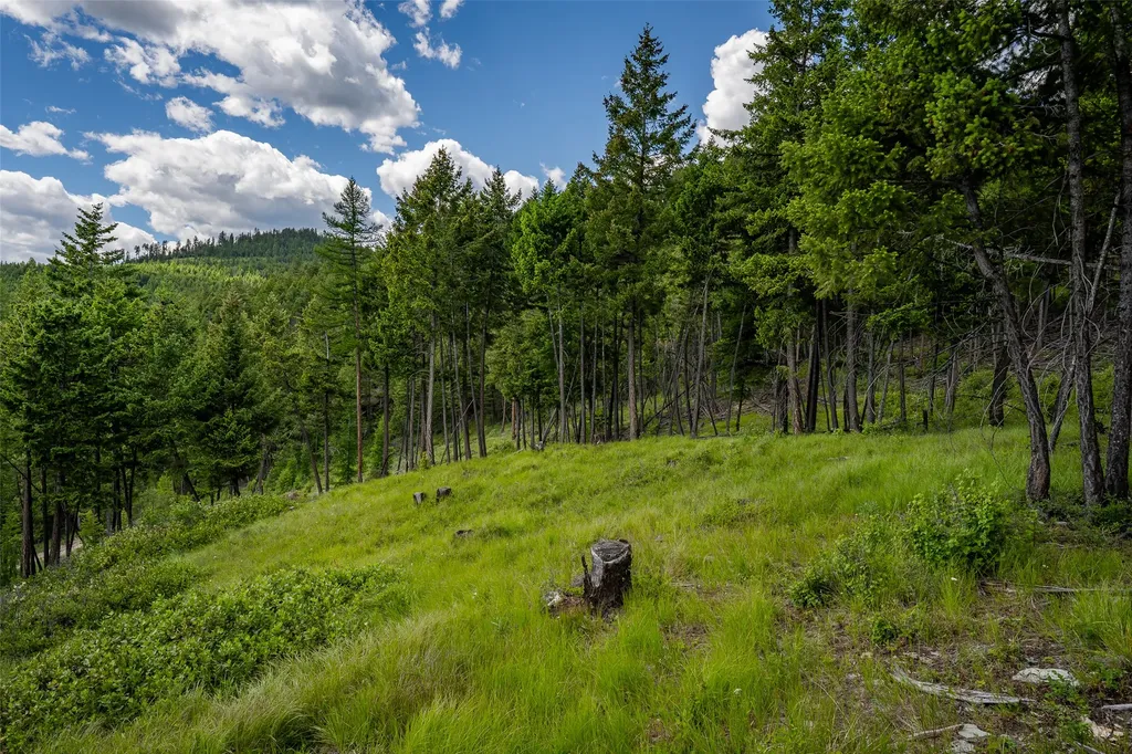 2342 Sirius View Kalispell MT 59901