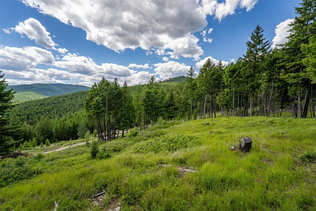 2342 Sirius View Kalispell MT 59901
