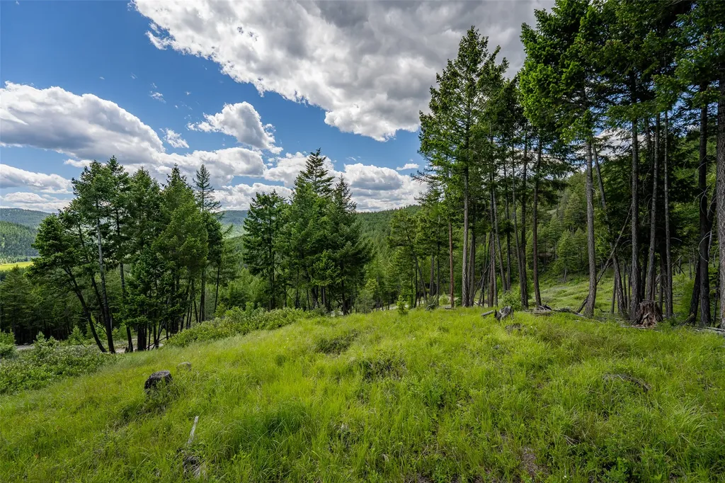 2342 Sirius View Kalispell MT 59901