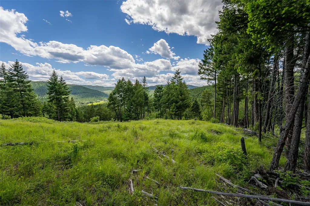 2342 Sirius View Kalispell MT 59901