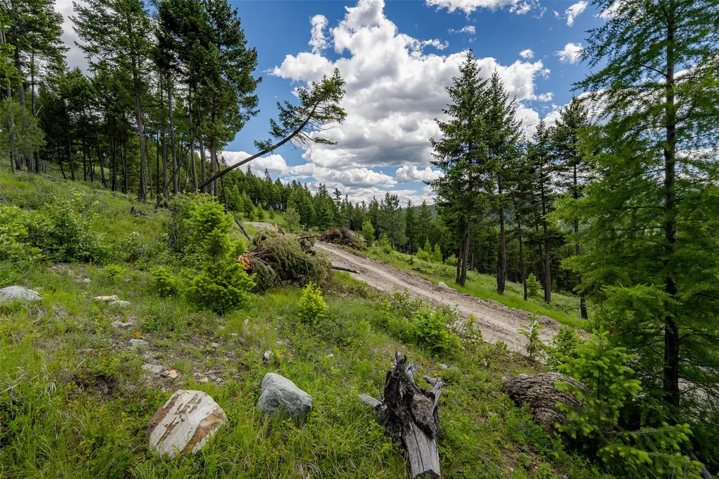 2342 Sirius View Kalispell MT 59901