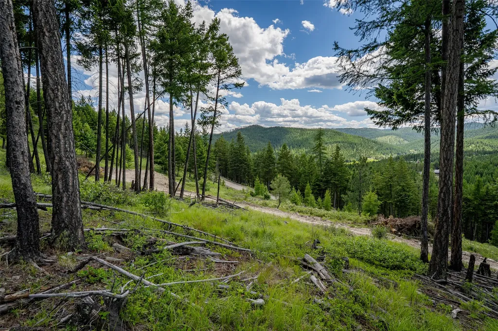 2342 Sirius View Kalispell MT 59901