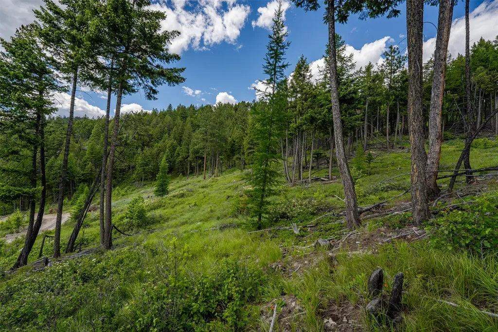 2342 Sirius View Kalispell MT 59901
