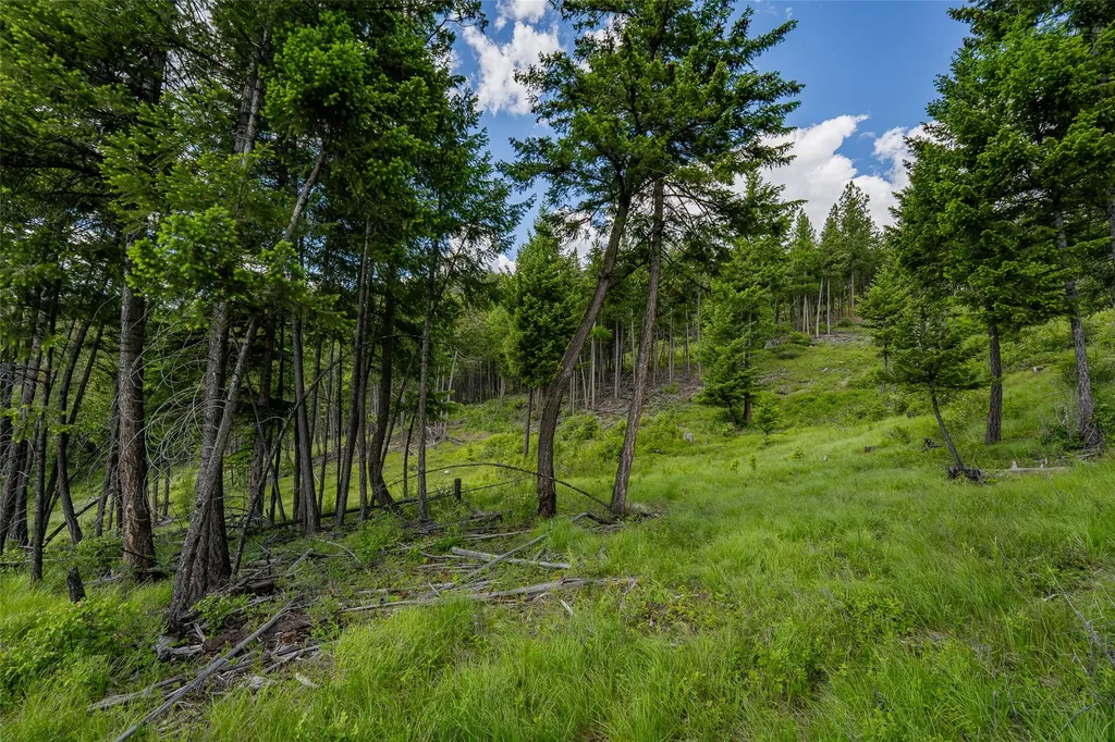 2342 Sirius View Kalispell MT 59901