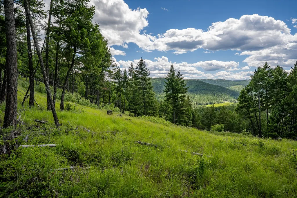 2342 Sirius View Kalispell MT 59901