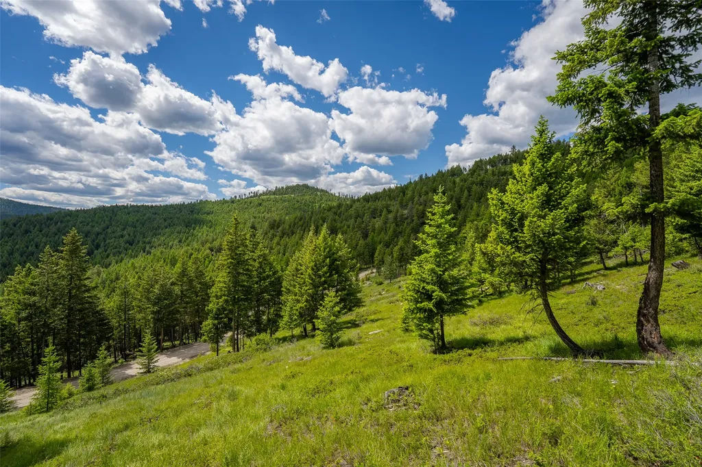 2342 Sirius View Kalispell MT 59901