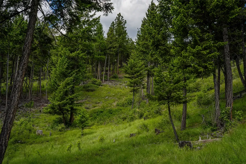 2342 Sirius View Kalispell MT 59901