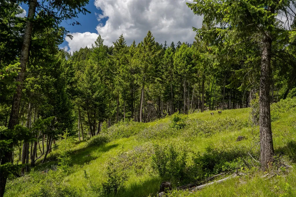 2342 Sirius View Kalispell MT 59901