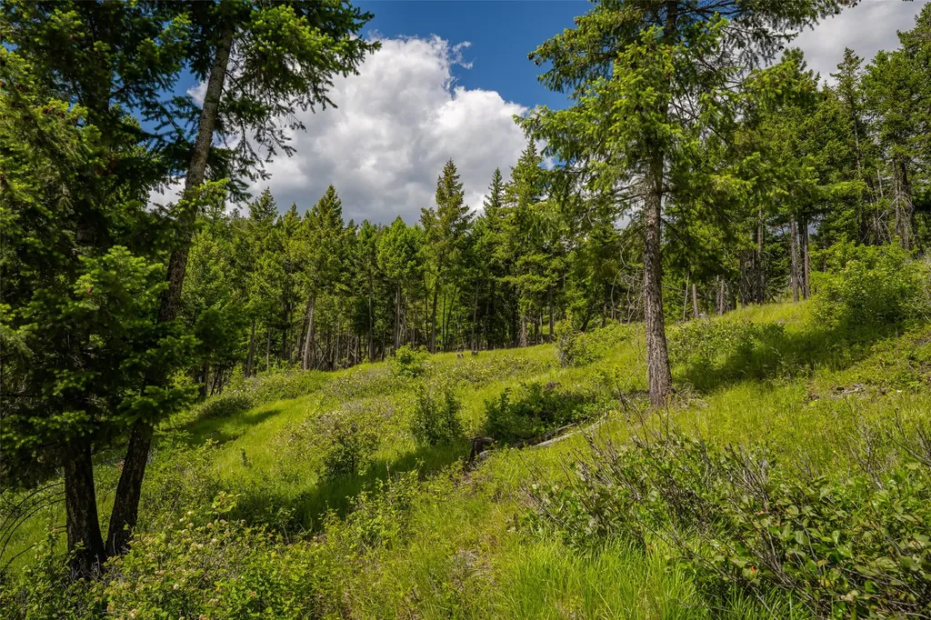 2342 Sirius View Kalispell MT 59901