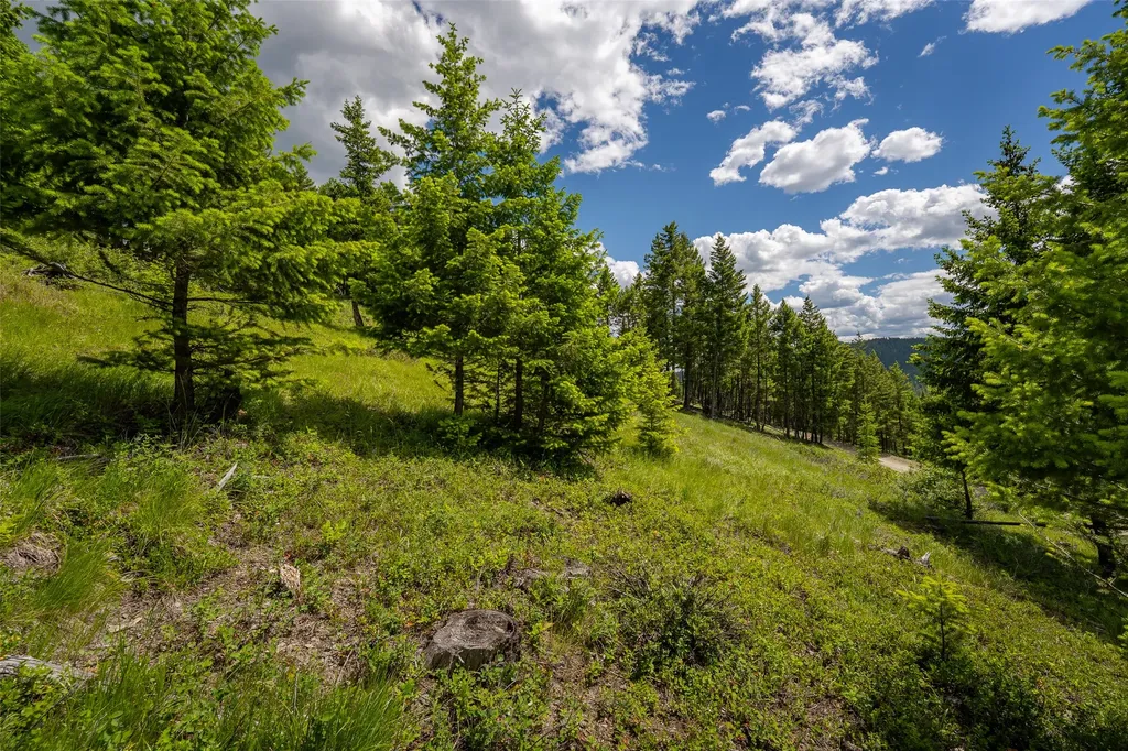 2342 Sirius View Kalispell MT 59901
