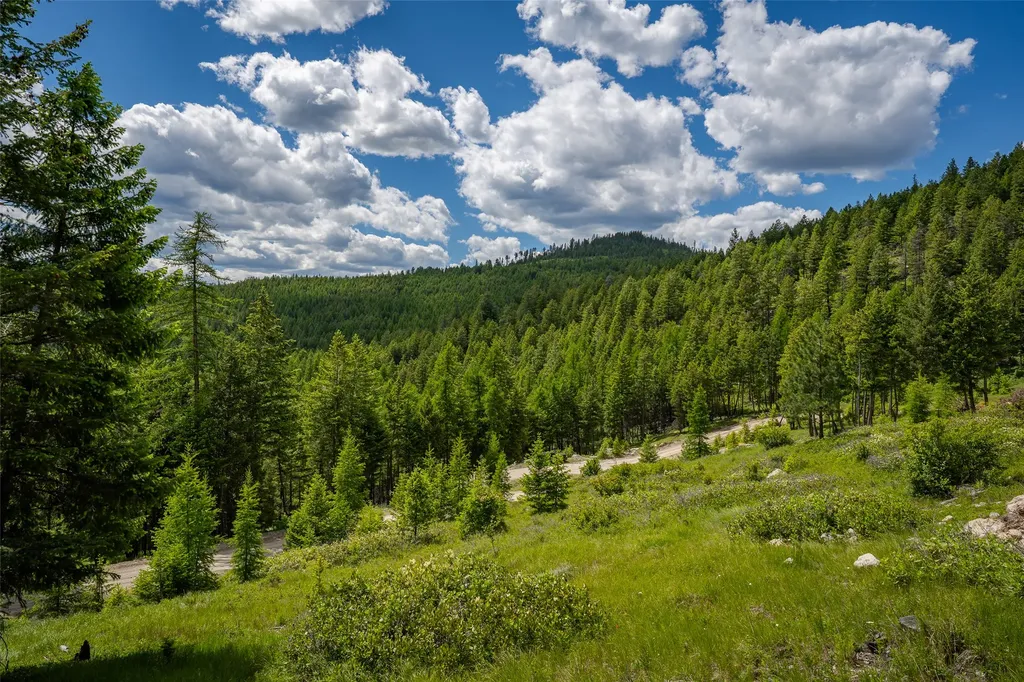 2342 Sirius View Kalispell MT 59901