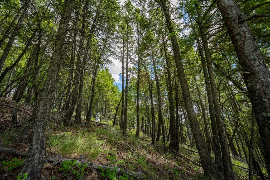 2342 Sirius View Kalispell MT 59901