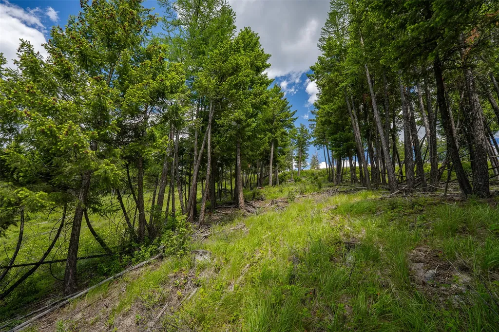 2342 Sirius View Kalispell MT 59901