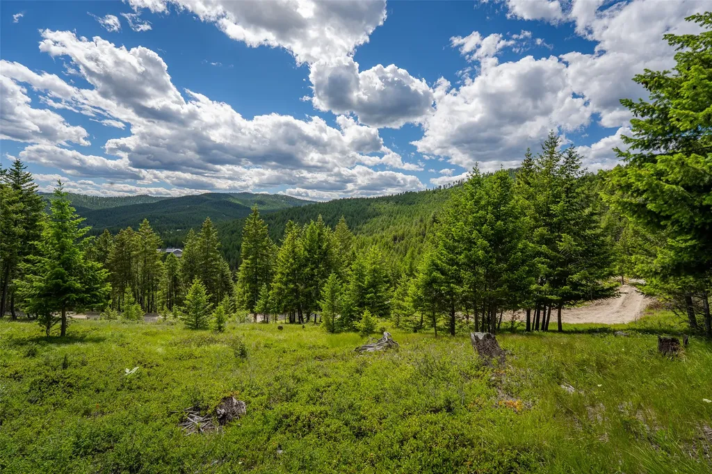2342 Sirius View Kalispell MT 59901