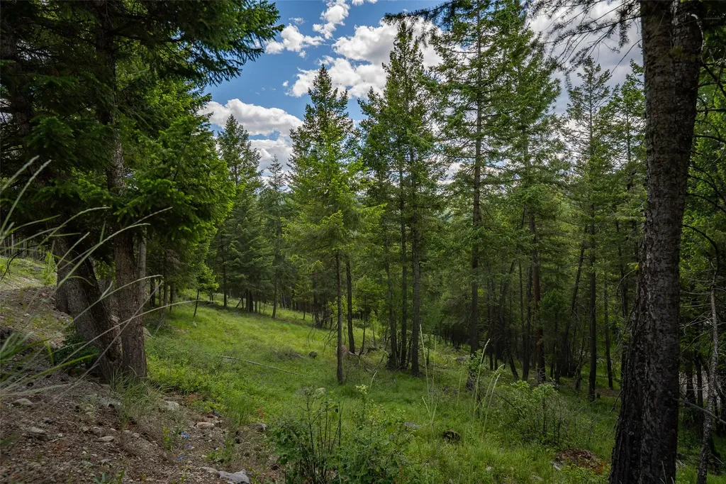 2342 Sirius View Kalispell MT 59901