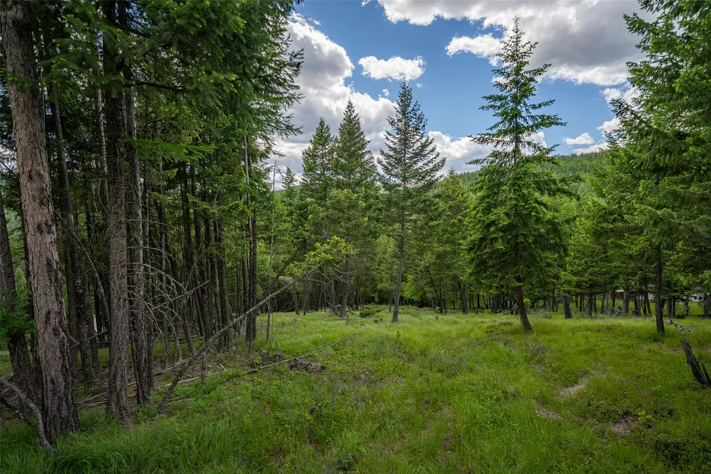 2342 Sirius View Kalispell MT 59901