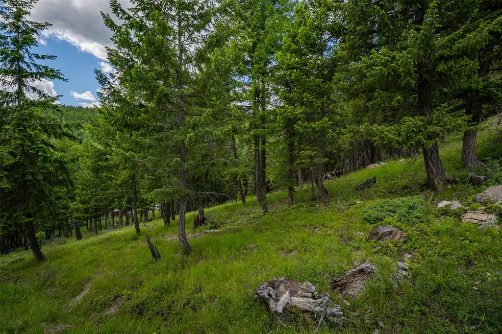 2342 Sirius View Kalispell MT 59901