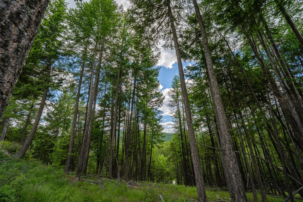 2342 Sirius View Kalispell MT 59901