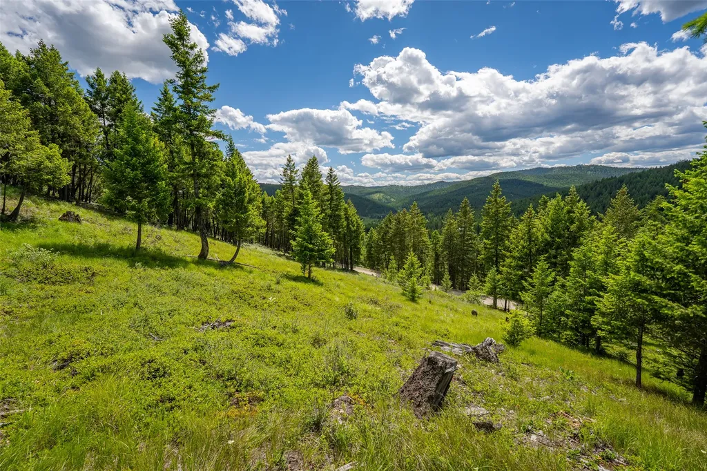 2342 Sirius View Kalispell MT 59901