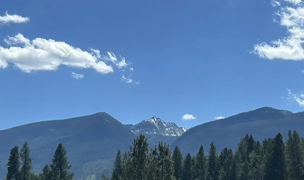 211 Logger Lane Darby MT 59829
