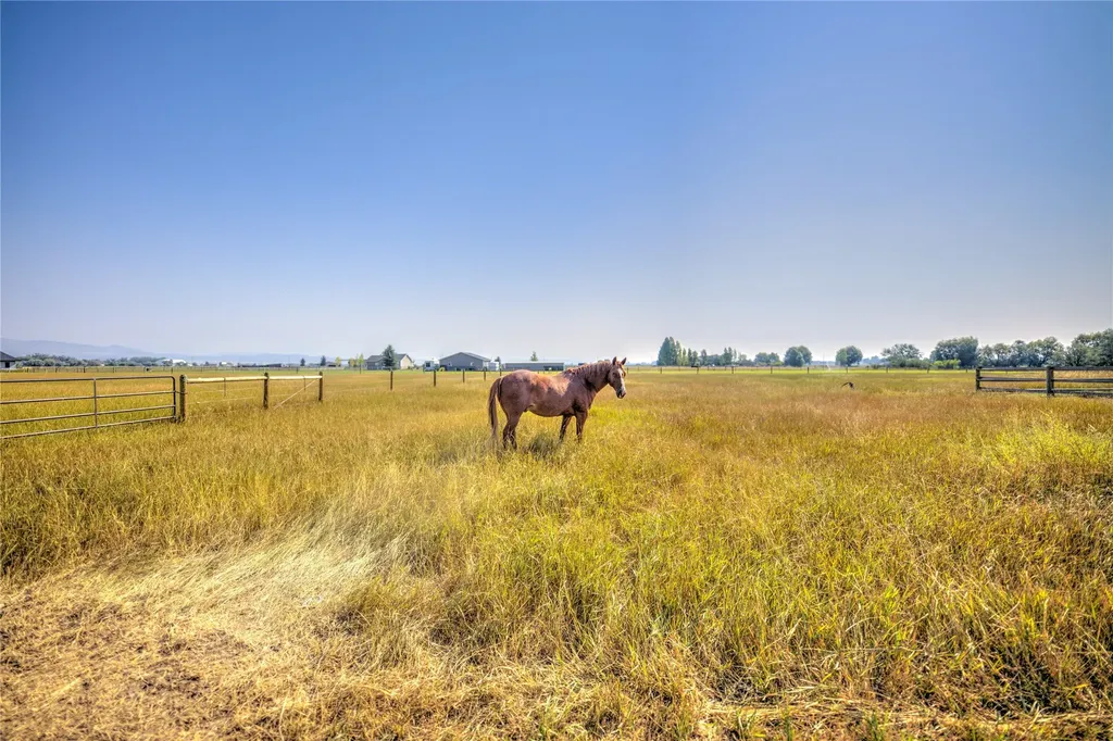 6809 N Montana Avenue Helena MT 59602