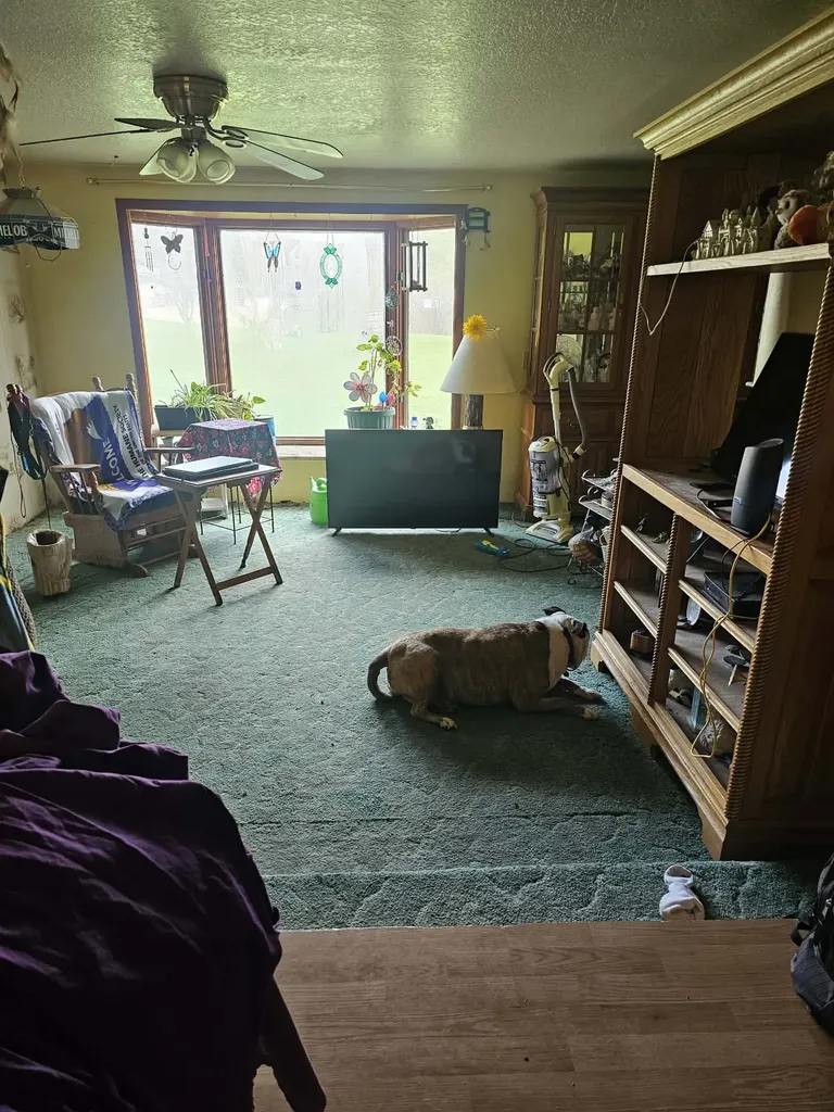 401 Terrace Drive Columbia Falls MT 59912