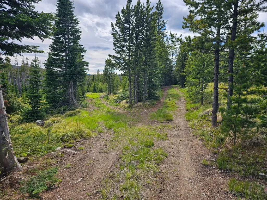 Excelsior Bullion Parks Road Elliston MT 59728