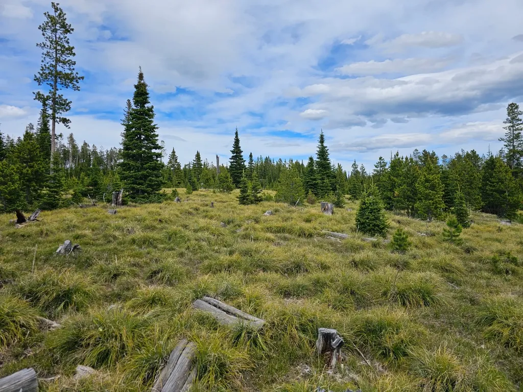 Excelsior Bullion Parks Road Elliston MT 59728