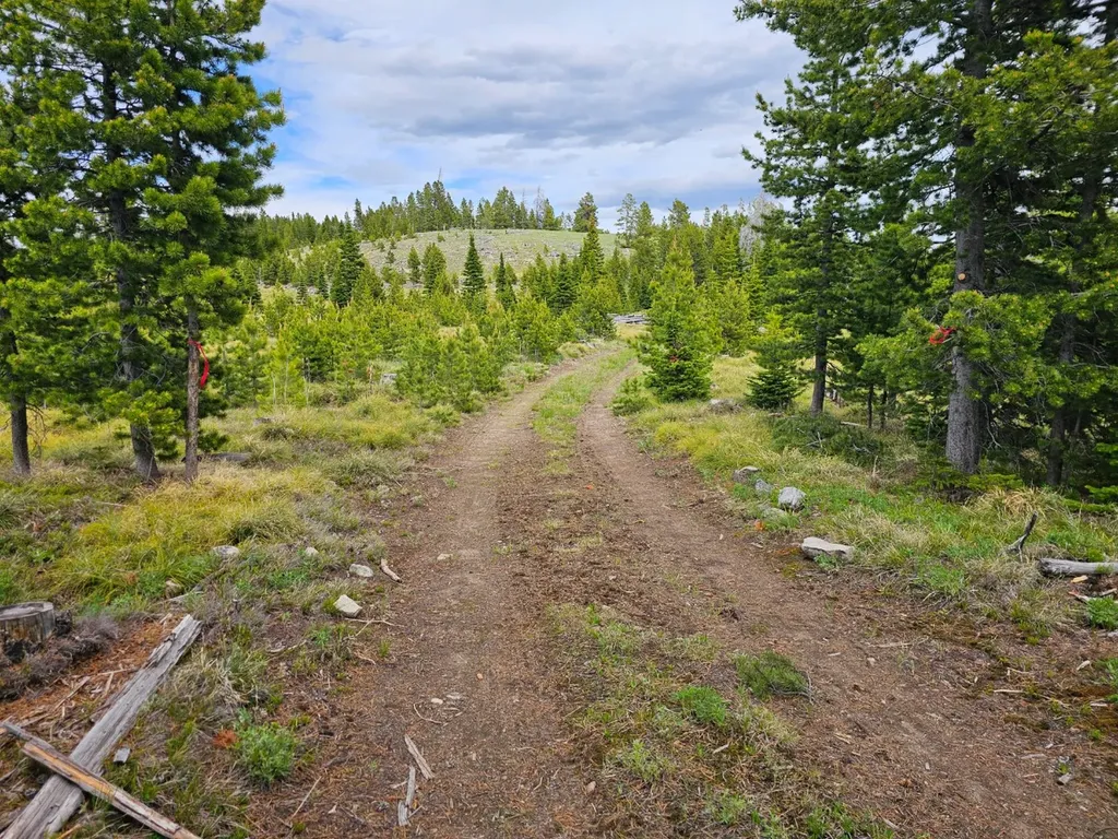 Excelsior Bullion Parks Road Elliston MT 59728