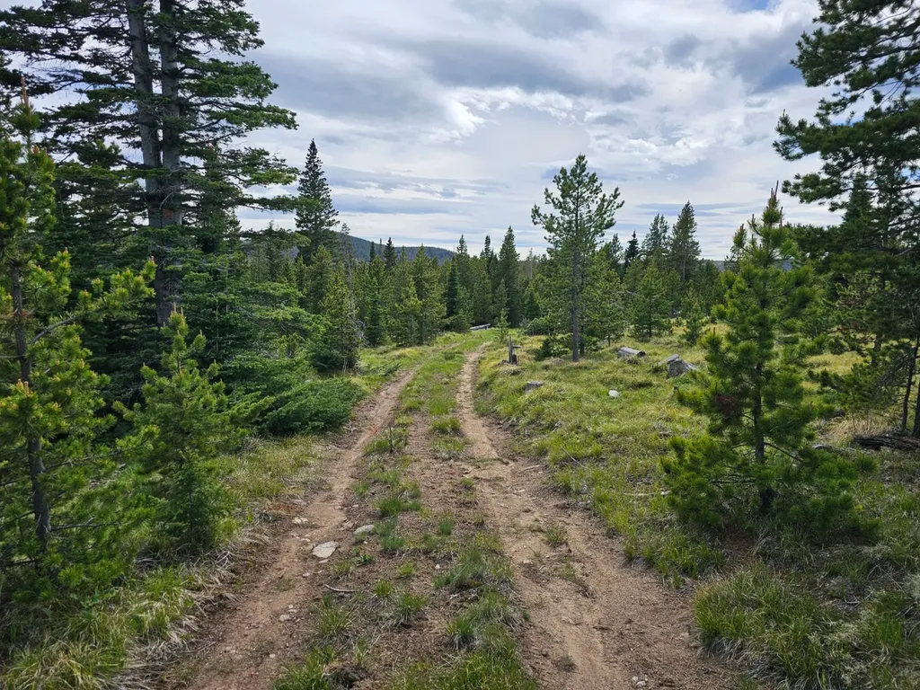 Excelsior Bullion Parks Road Elliston MT 59728