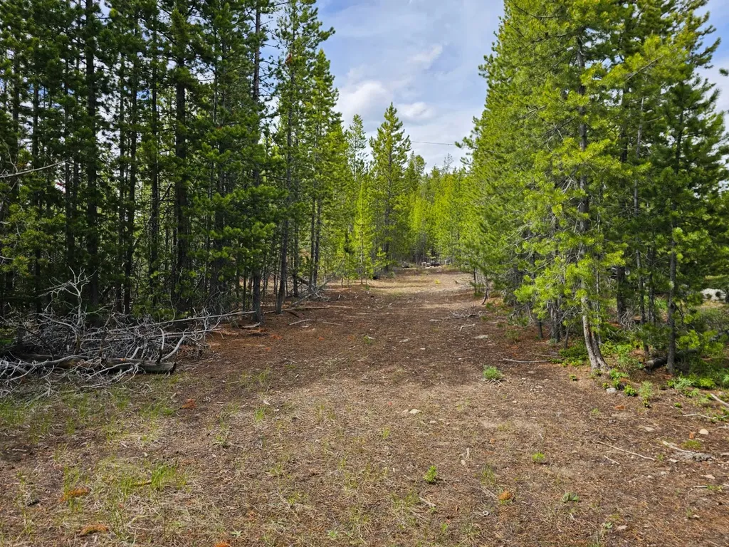 Excelsior Bullion Parks Road Elliston MT 59728
