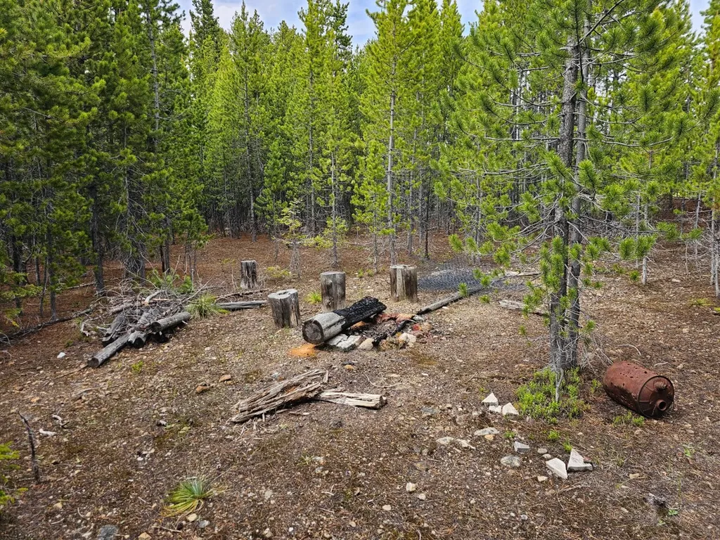 Excelsior Bullion Parks Road Elliston MT 59728