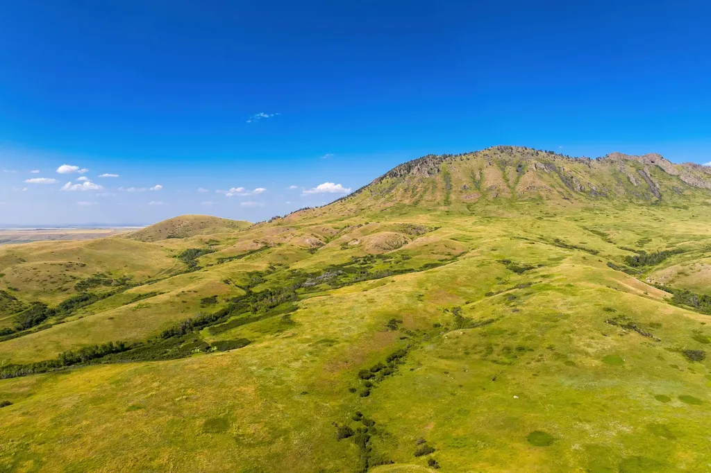 Tbd Upper Highwood Creek Road Highwood MT 59450