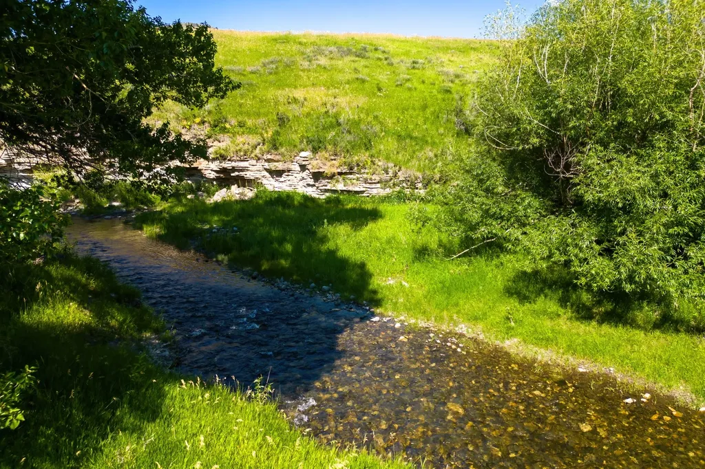 Tbd Upper Highwood Creek Road Highwood MT 59450