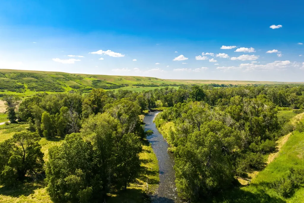 Tbd Upper Highwood Creek Road Highwood MT 59450