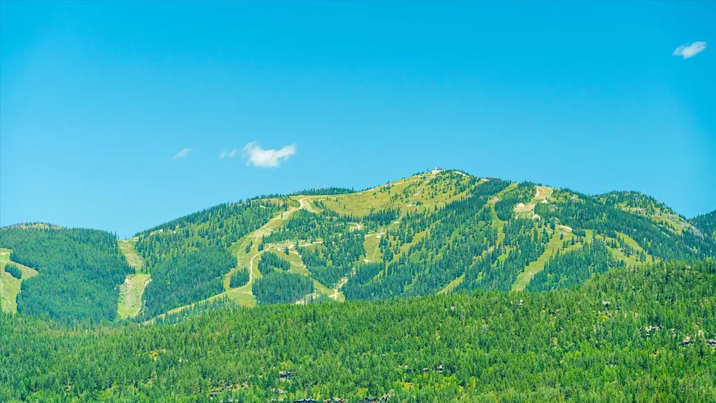 204 The Quarry Road Whitefish MT 59937