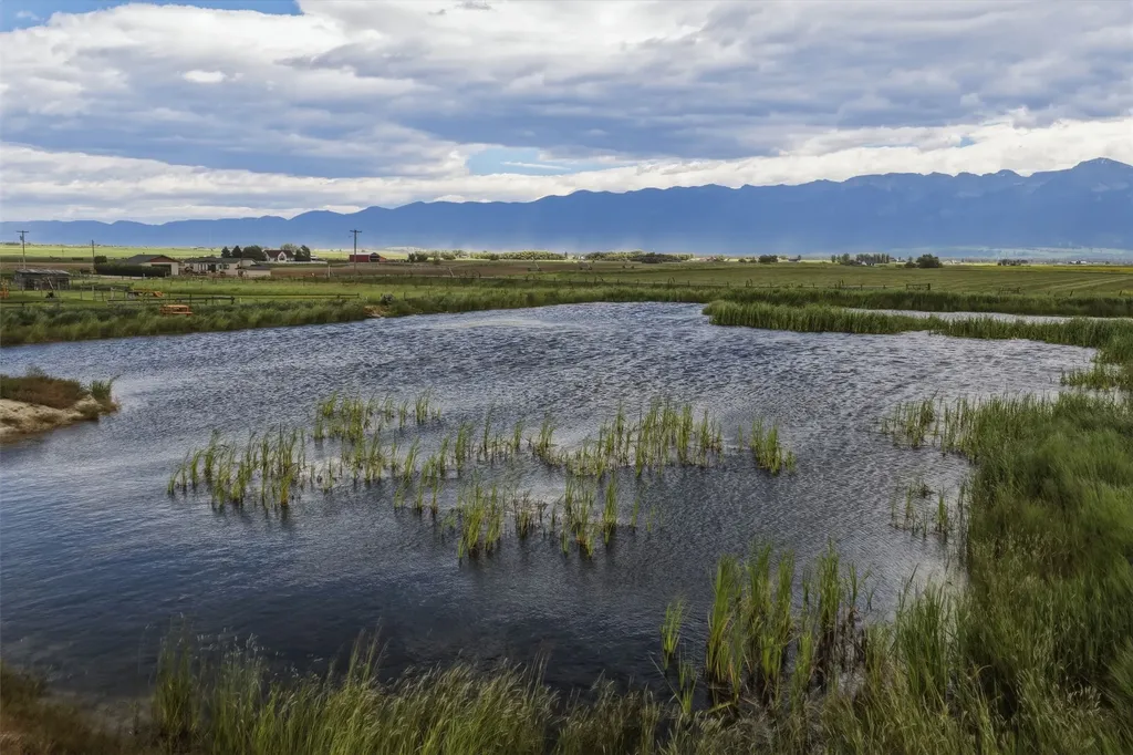 42501 Stasso Road Polson MT 59860