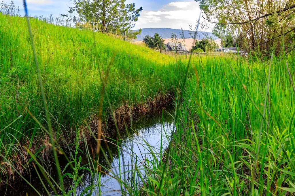 10100 The Lane Missoula MT 59808
