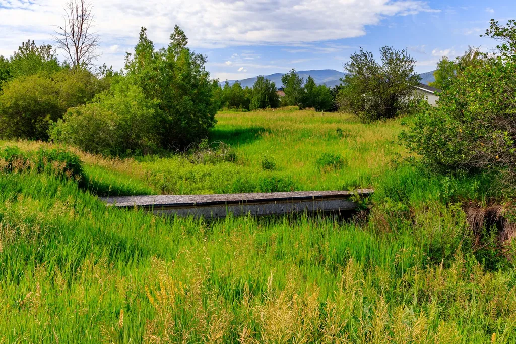 10100 The Lane Missoula MT 59808