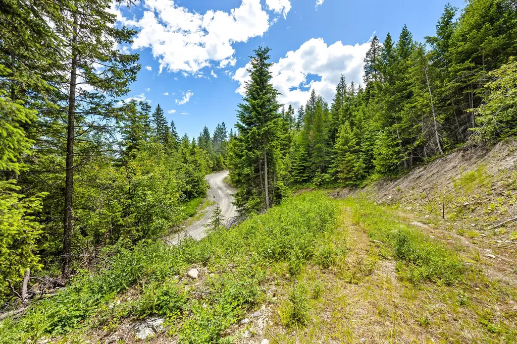 64 Lone Wolf Trail Lakeside MT 59922