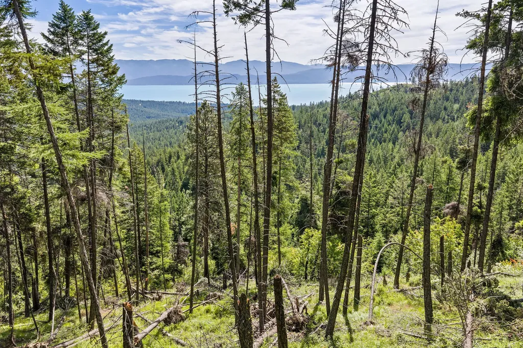 64 Lone Wolf Trail Lakeside MT 59922