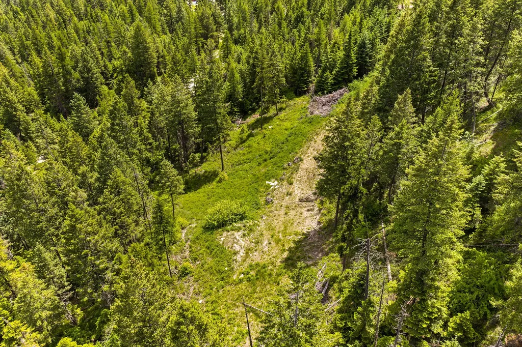 64 Lone Wolf Trail Lakeside MT 59922