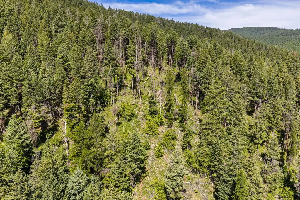 64 Lone Wolf Trail Lakeside MT 59922
